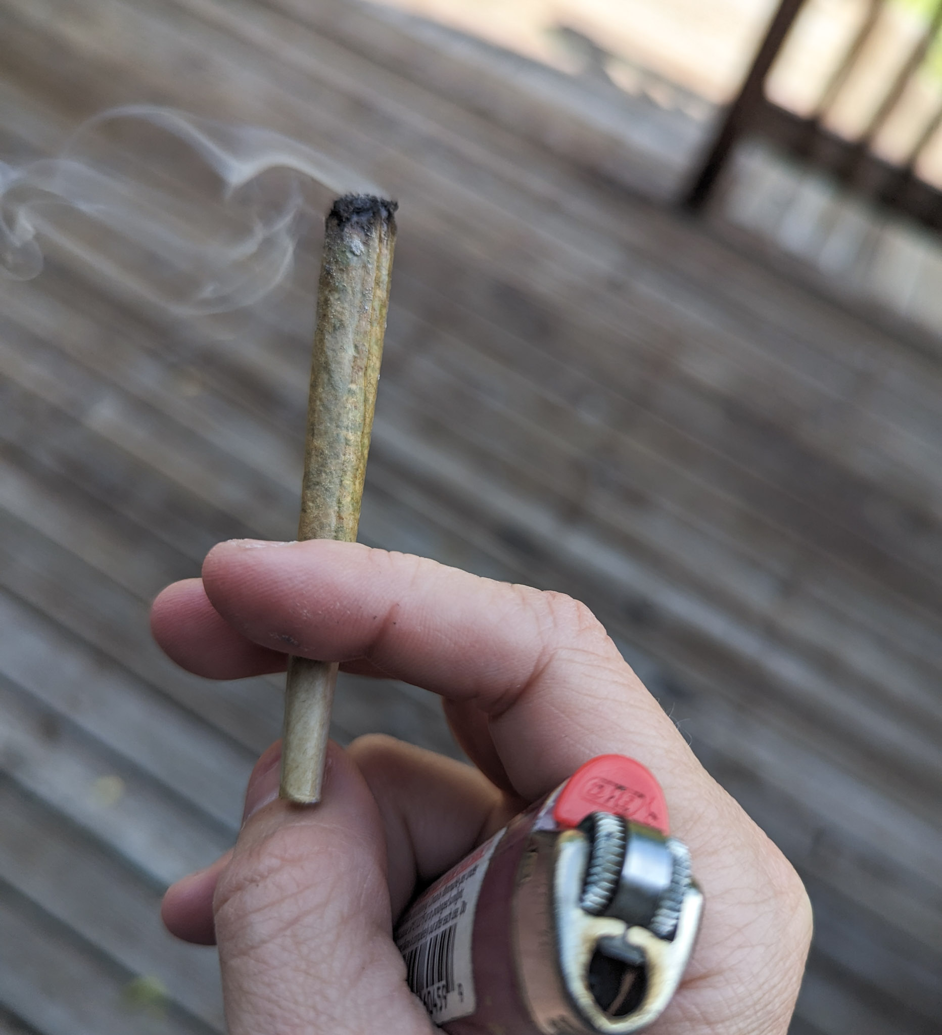 Smoking a joint of Cheetah Piss strain.
