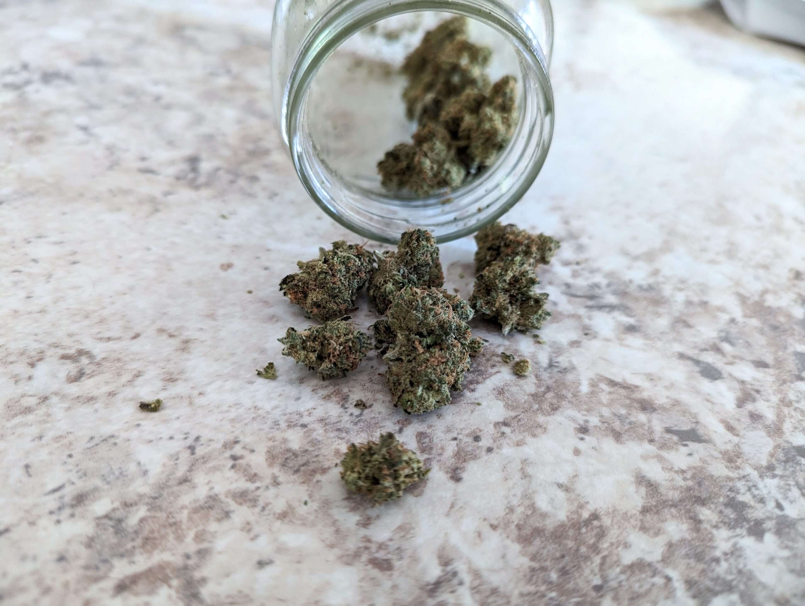 A picture of weed dumping out of a jar on a countertop.